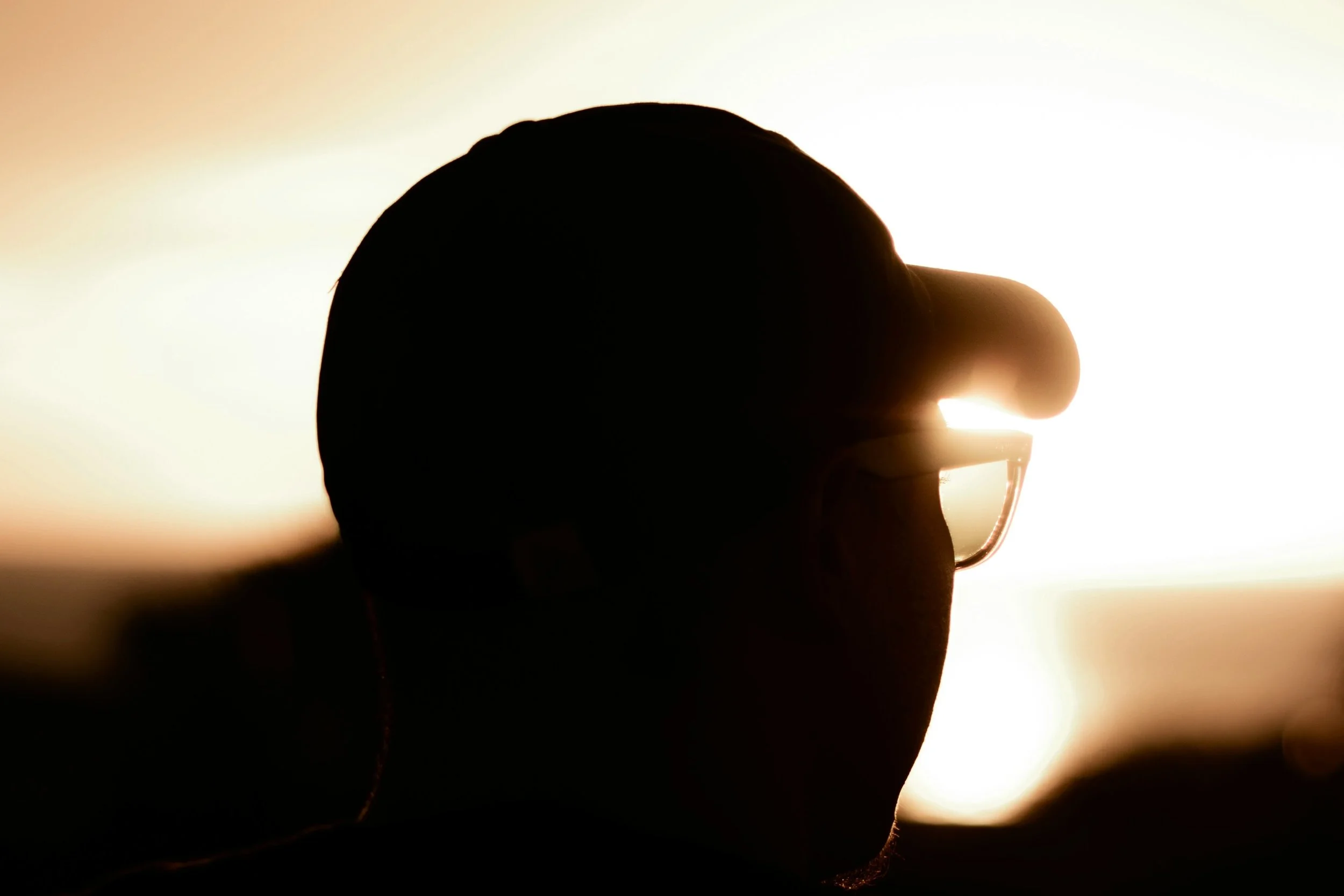 INsight/ Why Vision Works