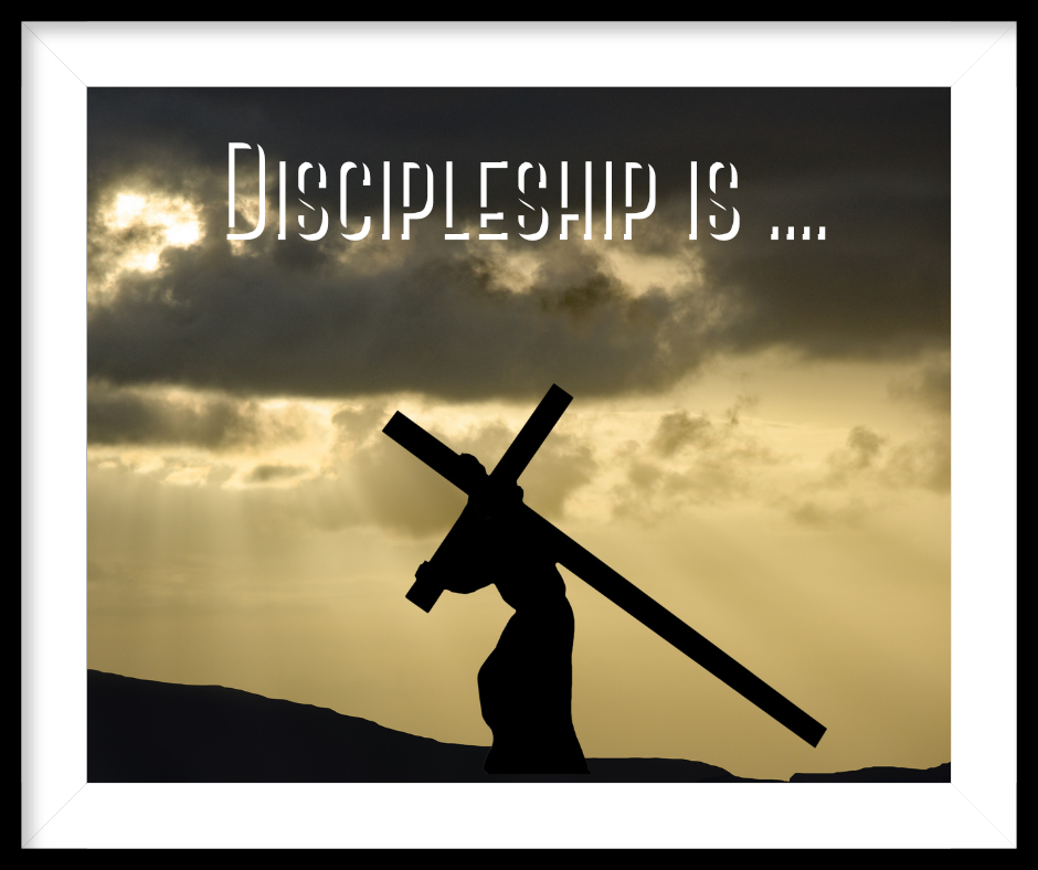 Defining Discipleship 001 — Commissioned Ministries