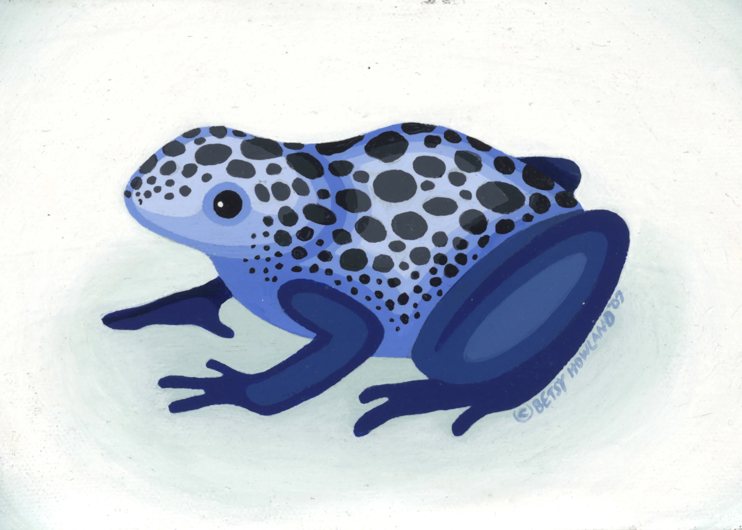 blue frog for wesbite.jpg
