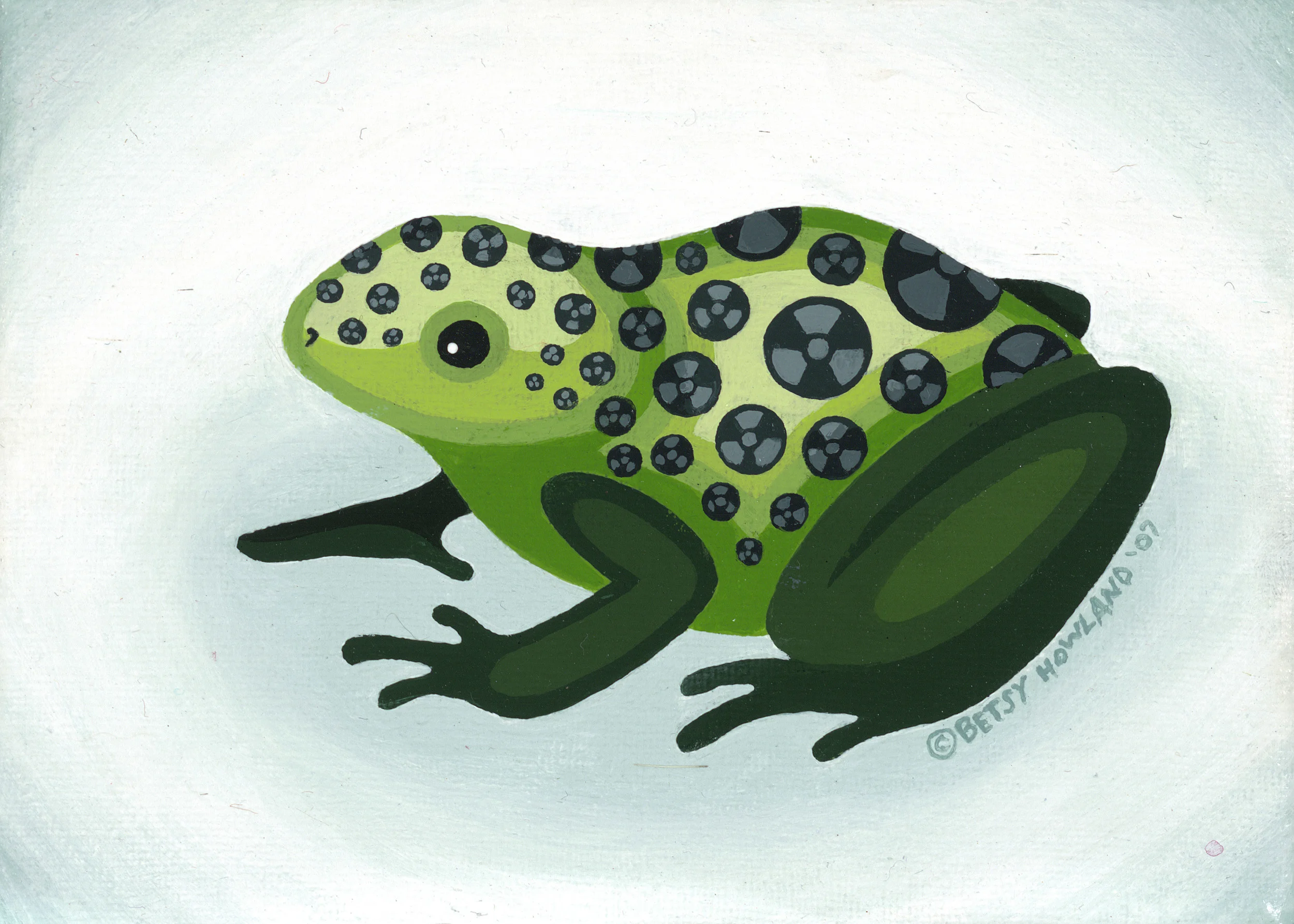 Green frog for website.jpg