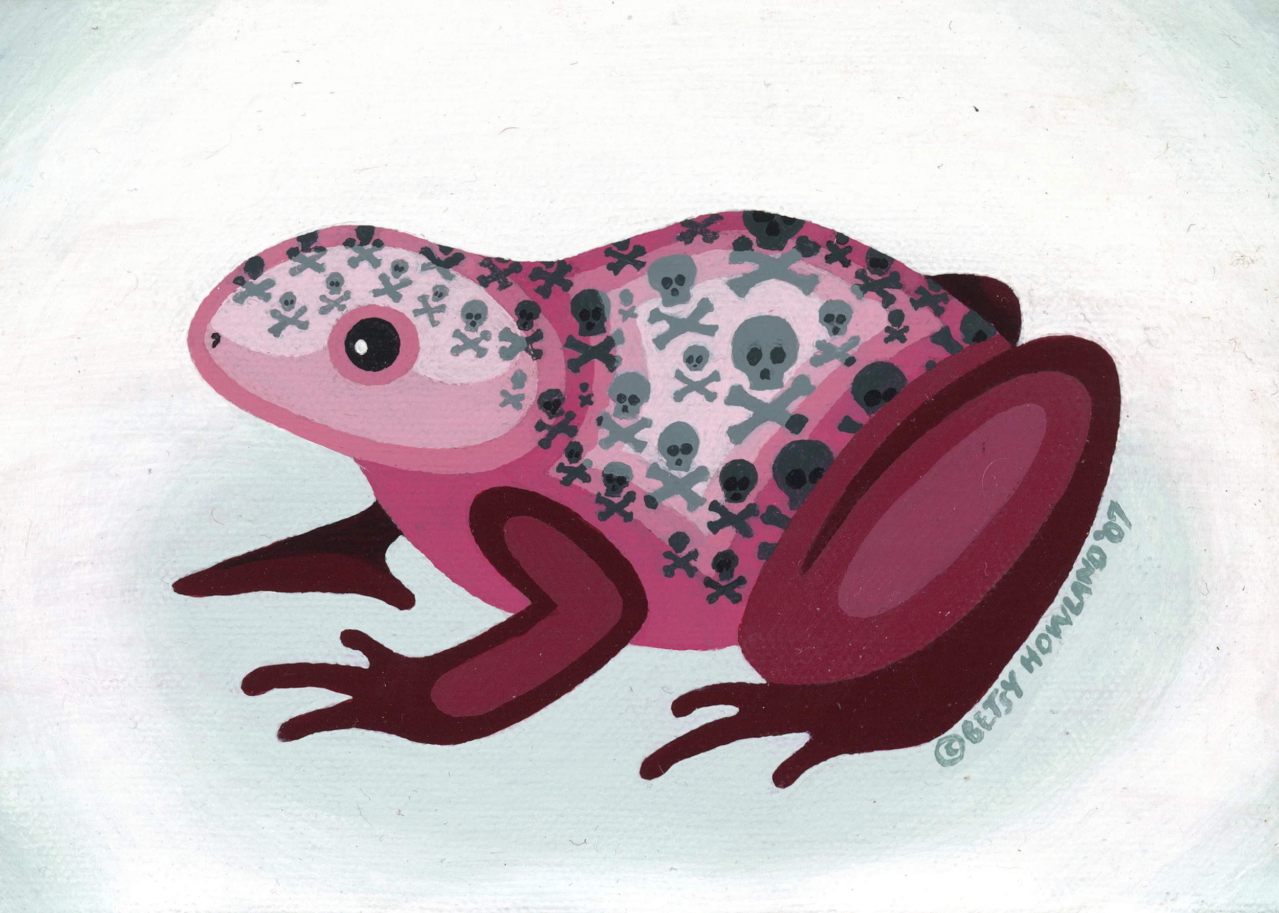 Pink frog for website.jpg