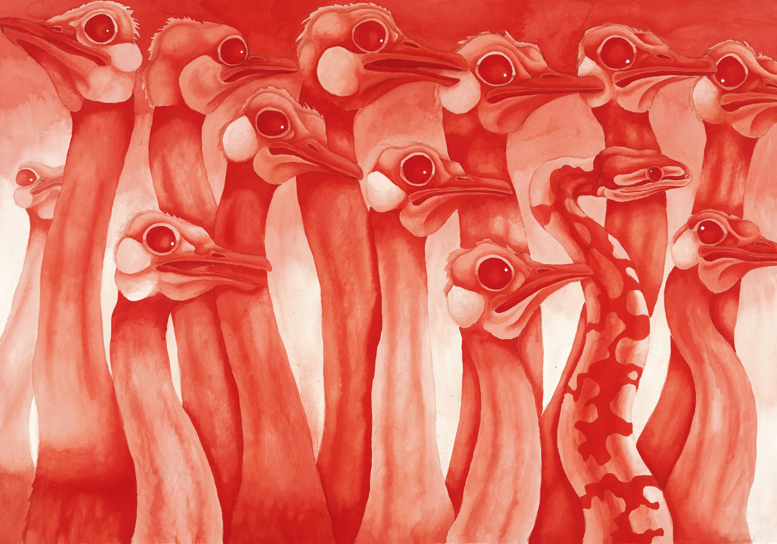 Red Ostrich for website .jpg