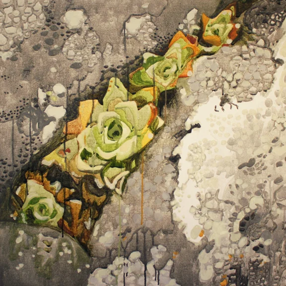 Northern Succulents 1