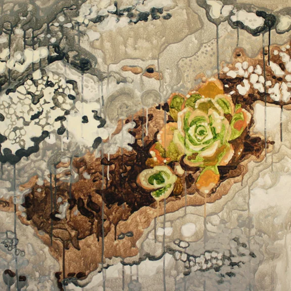 Northern Succulents 2
