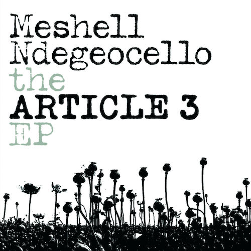 Meshell_Ndegeocello_The_Article_3_EP.jpg