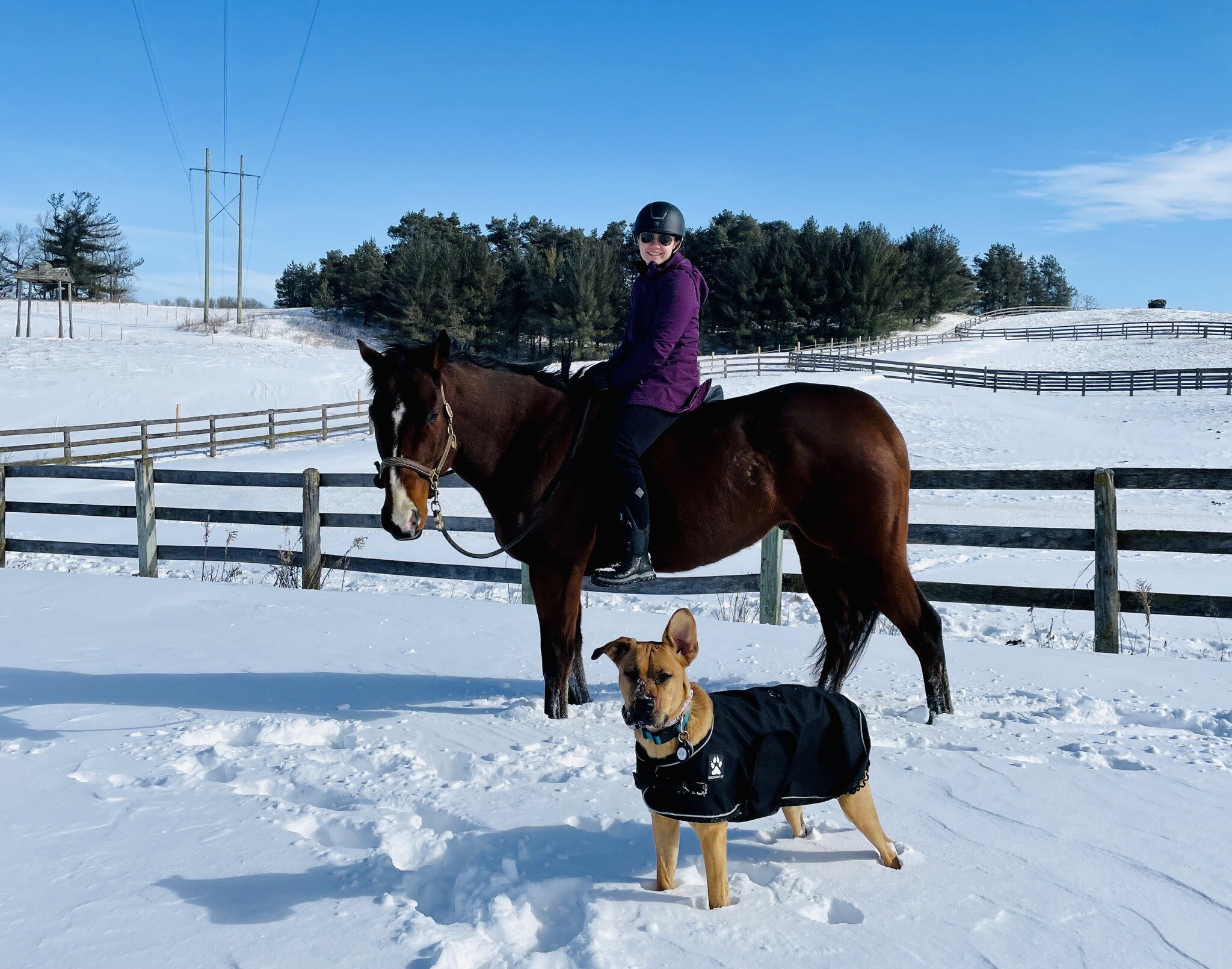 MEET OUR VETERINARIANS!! 
DR. KRISTYNE SMITH
Dr. Smith started her career as a farm veterinarian, working with cattle, small ruminants and horses. Ultimately, her love of the farm dogs and barn cats pulled her to small animal practice after a couple 