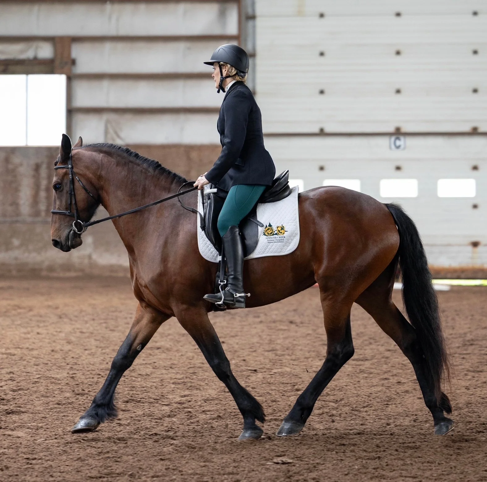 🐴 Pet Behind the Vet Staff 🐴

Meet Po &ndash; Dr. Whelan&rsquo;s beautiful 4-year-old Friesian cross and the daughter of her mare, Tundra. ✨

Po is Dr. Whelan&rsquo;s trusted riding partner, and together they enjoy trail riding, dressage, and worki
