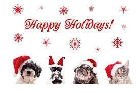 Holiday Toxin Alert for Pet Parents!

The holidays bring joy, treats, and decorations&mdash;but they can also bring hidden dangers for our furry family members. Here are some common holiday toxins to watch out for:

Chocolate &ndash; especially dark 