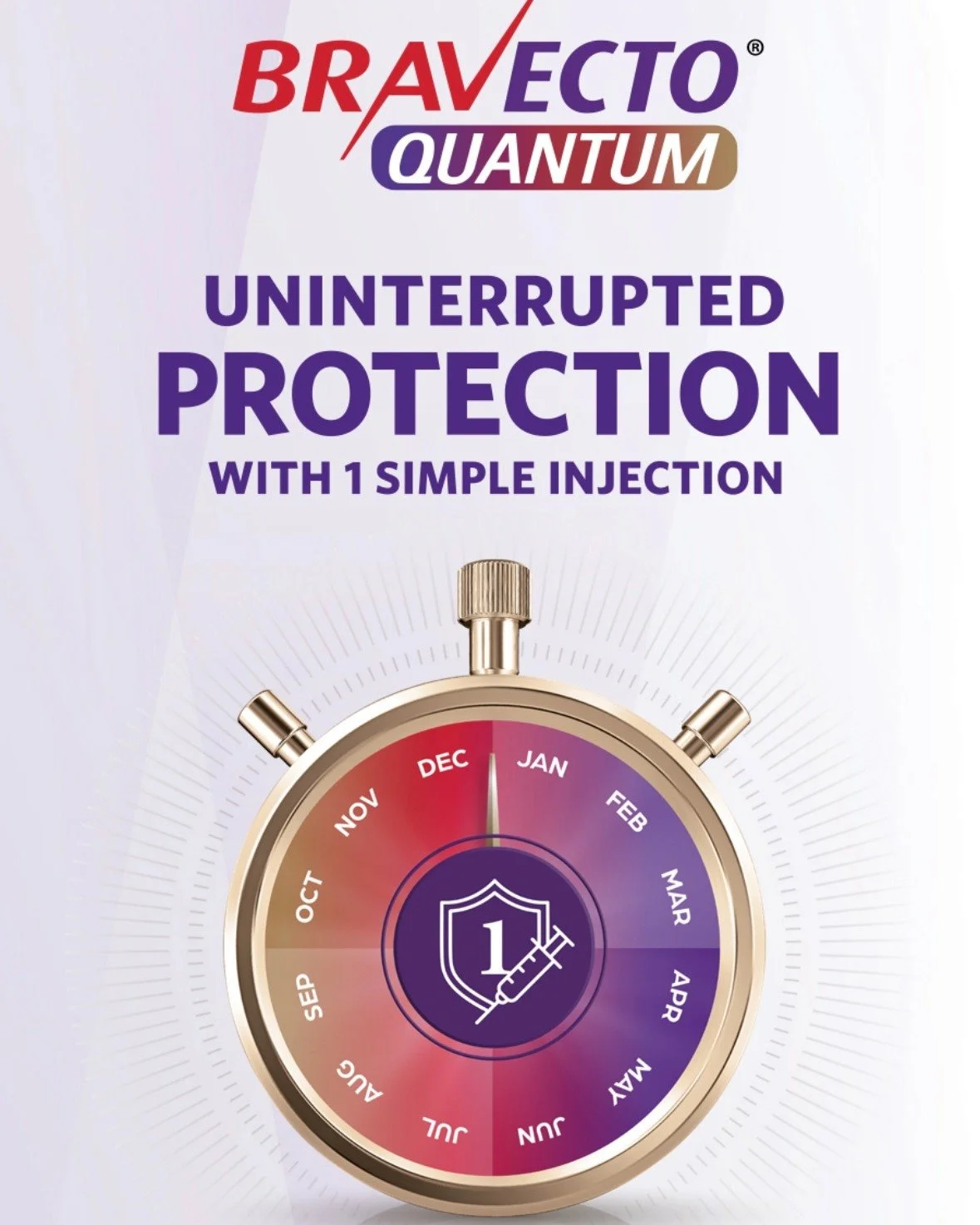 Have you heard the exciting news? A new flea and tick injectable that lasts a full year is finally here!

Bravecto Quantum is a once-a-year injection administered by your veterinary clinic that provides long-lasting protection against fleas and ticks