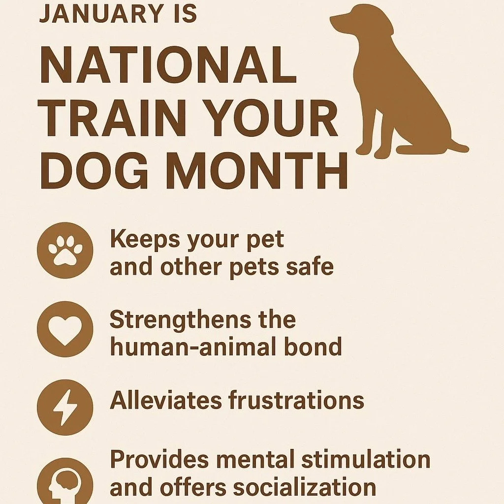 January is National Train Your Dog Month, and it&rsquo;s the perfect reminder that good habits start early. 

Even the smallest puppies benefit from consistent, positive training right from the beginning. Early guidance helps them build confidence, l