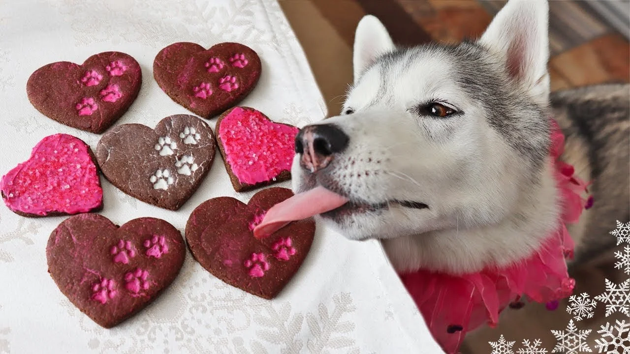 Valentine&rsquo;s Day means more chocolate around the house, and even small amounts can be dangerous for dogs. Chocolate can cause vomiting, restlessness, or an elevated heart rate. Dark and baking chocolate are especially risky. 
- Keep sweets out o
