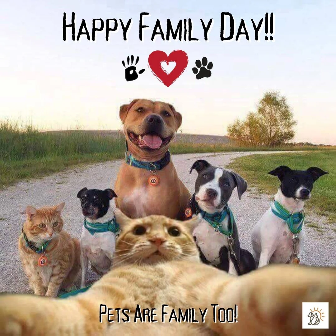 Happy Family Day! We are closed today for the Holiday. 

Today is all about the moments that make your home feel happy and full of familial love, including the pets who are part of your family. 

Maybe you spent the day on a walk, played in the snow,