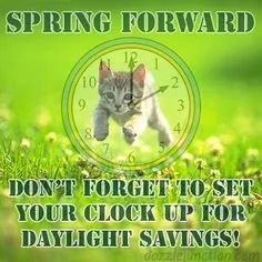Happy Daylight Savings! 

We lost an hour today, which means your pets are getting their meals and walks earlier than their internal clocks expect. If they look confused or delighted about &ldquo;early&rdquo; breakfast; you&rsquo;re not imagining it!
