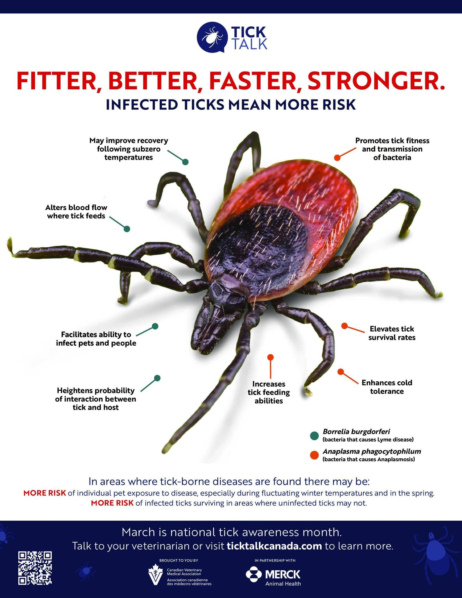 Ticks are tougher than ever and March is National Tick Awareness Month.

Did you know infected ticks can survive colder temperatures, feed more effectively, and pose an even higher risk to pets and people? Warmer winters and early spring thaws mean t