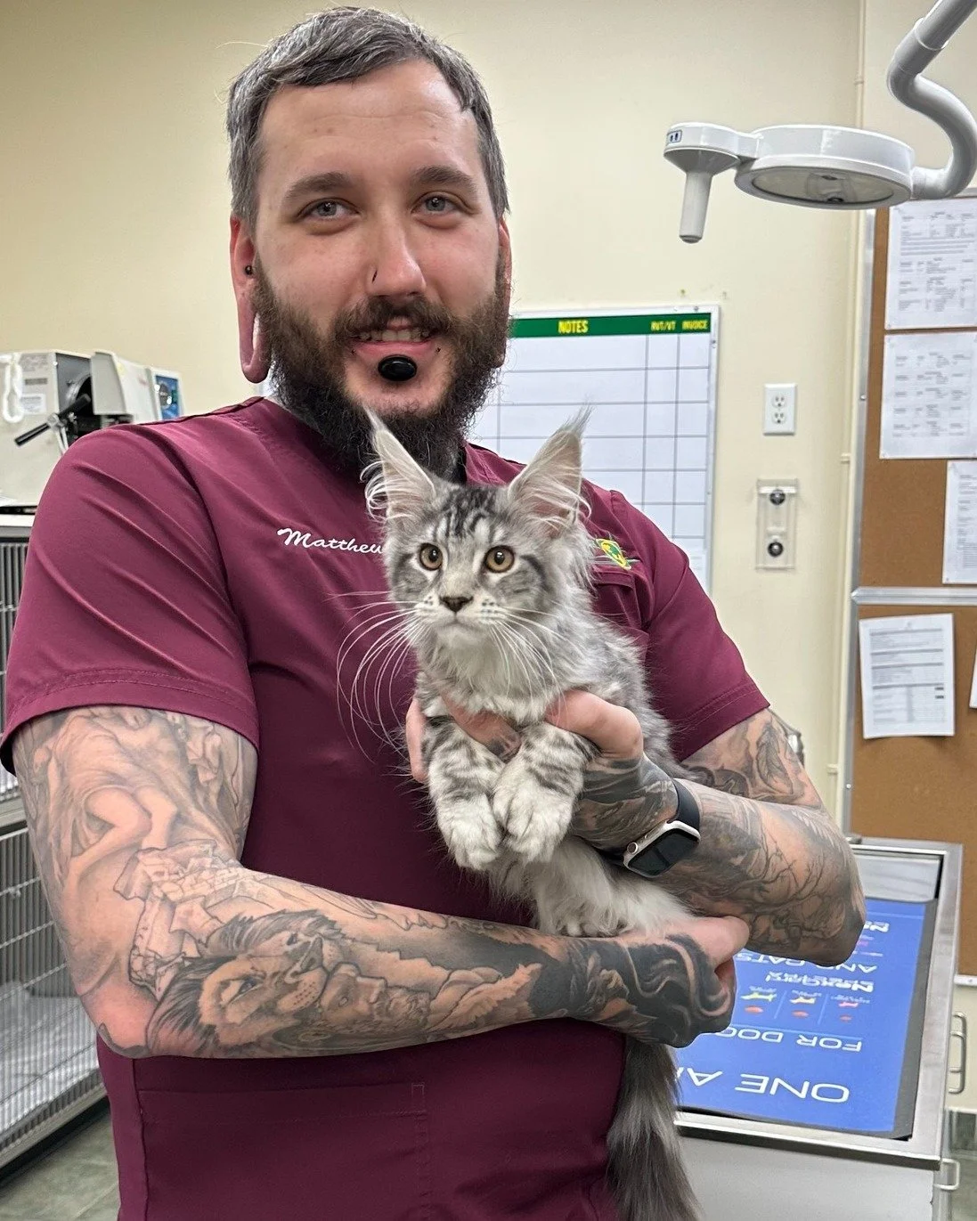 If you&rsquo;ve ever met Matt, you already know he loves cats. He&rsquo;s our clinic&rsquo;s honourary cat enthusiast, and truly hasn&rsquo;t met a feline he didn&rsquo;t adore. Here he is meeting our newest patient at Spencer Creek Animal Hospital, 