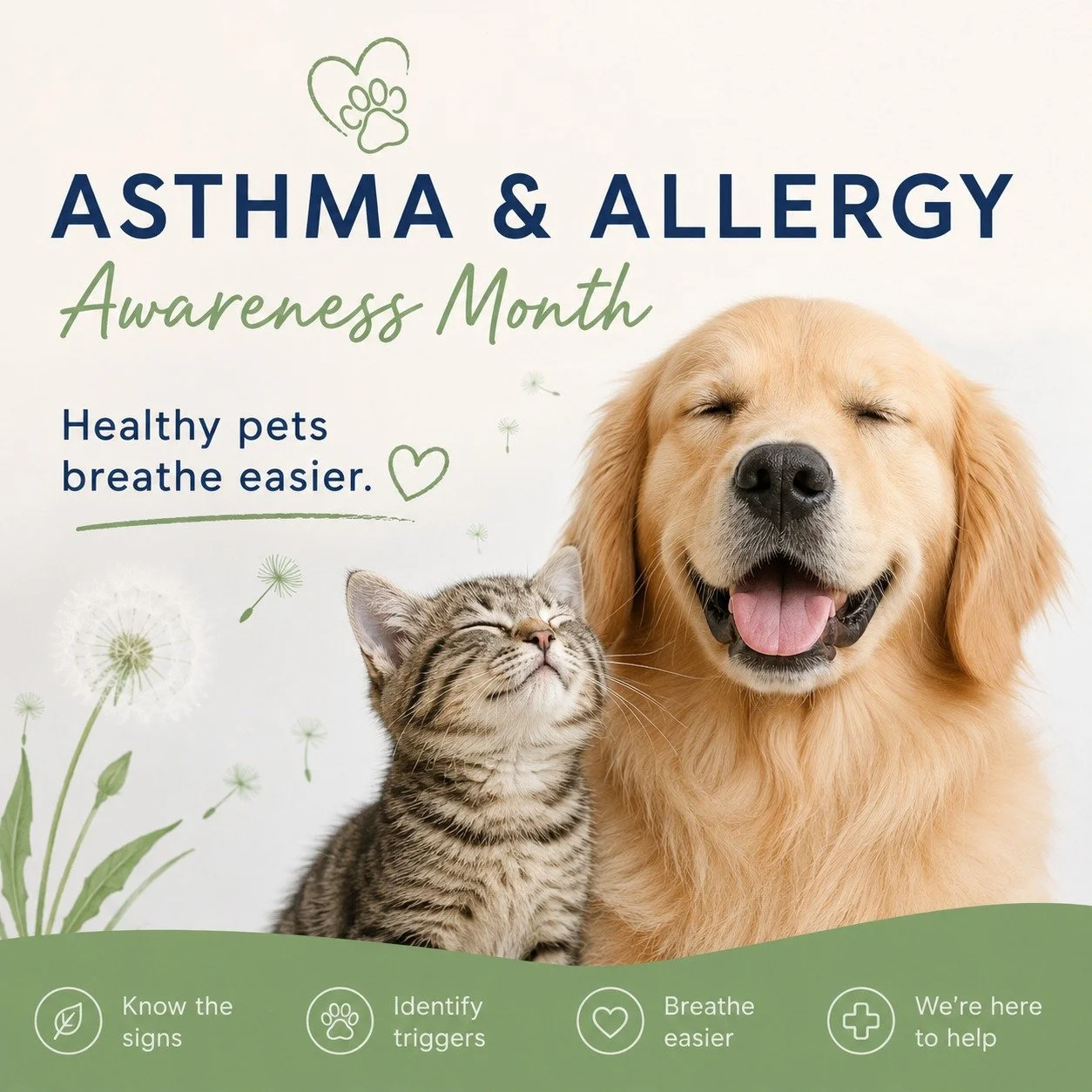 May is Asthma and Allergy Awareness Month, and our pets can feel the effects just as much as we do. Warmer weather brings pollen, dust, and other environmental triggers that can make breathing or skin comfort a challenge for sensitive pets.

Common s