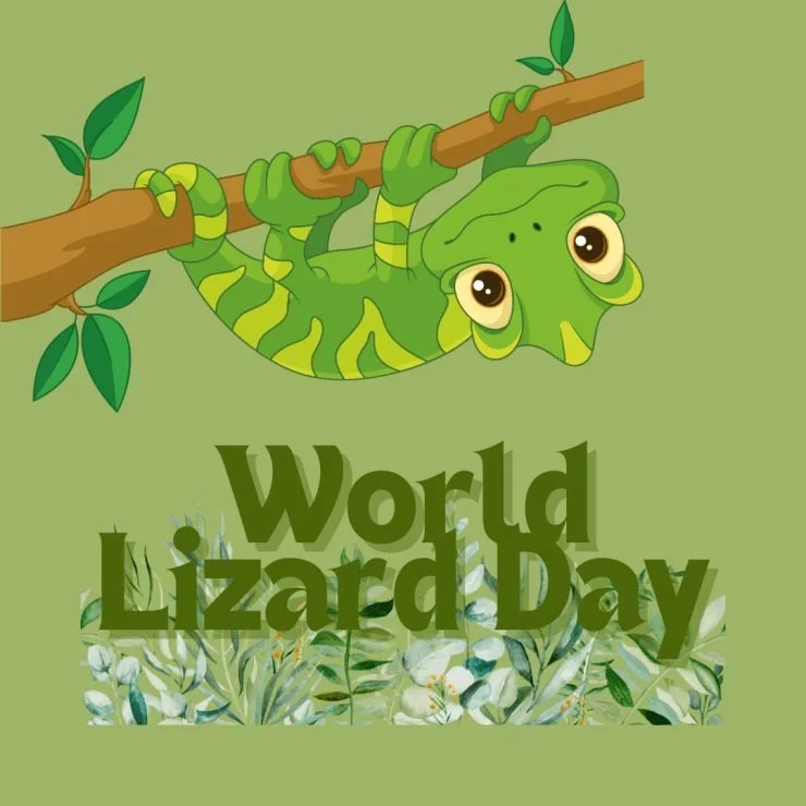 It&rsquo;s World Lizard Day!
We love our scaly patients, and Dr. Whelan is always happy to welcome exotic pets for wellness care and medical support. Whether you share your home with a gecko, dragon, skink, or chameleon, today is the perfect day to c