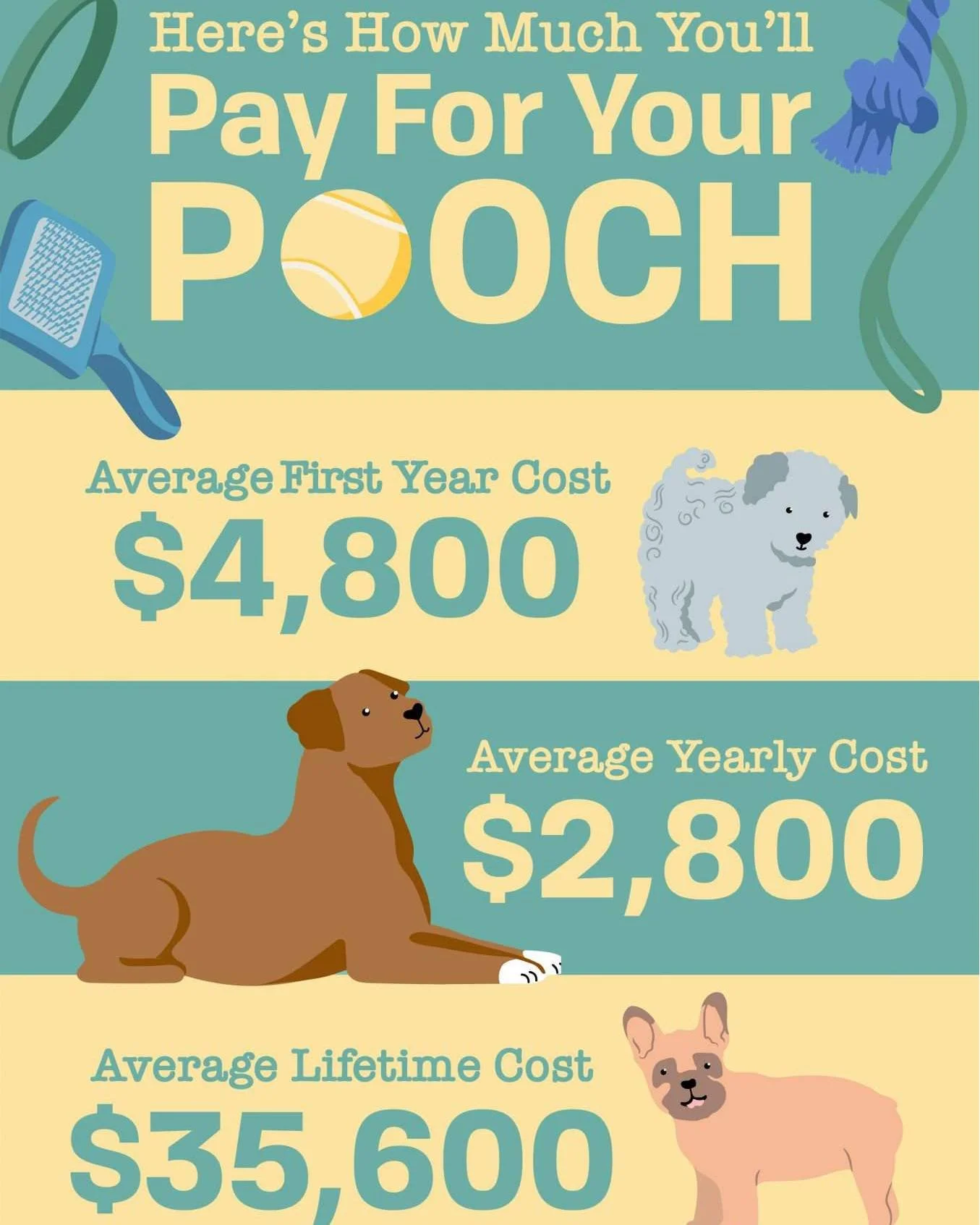 Human healthcare in Canada feels free because it&rsquo;s publicly funded, but without insurance the real costs are high. A single human blood panel can cost $400&ndash;$900, X‑rays $300&ndash;$1,000, and CT or MRI scans $1,500&ndash;$5,000+ out of po