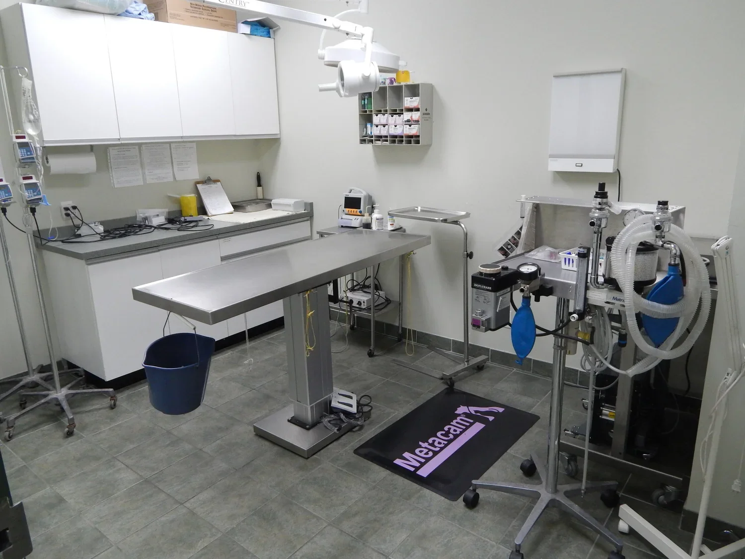 surgery.webp