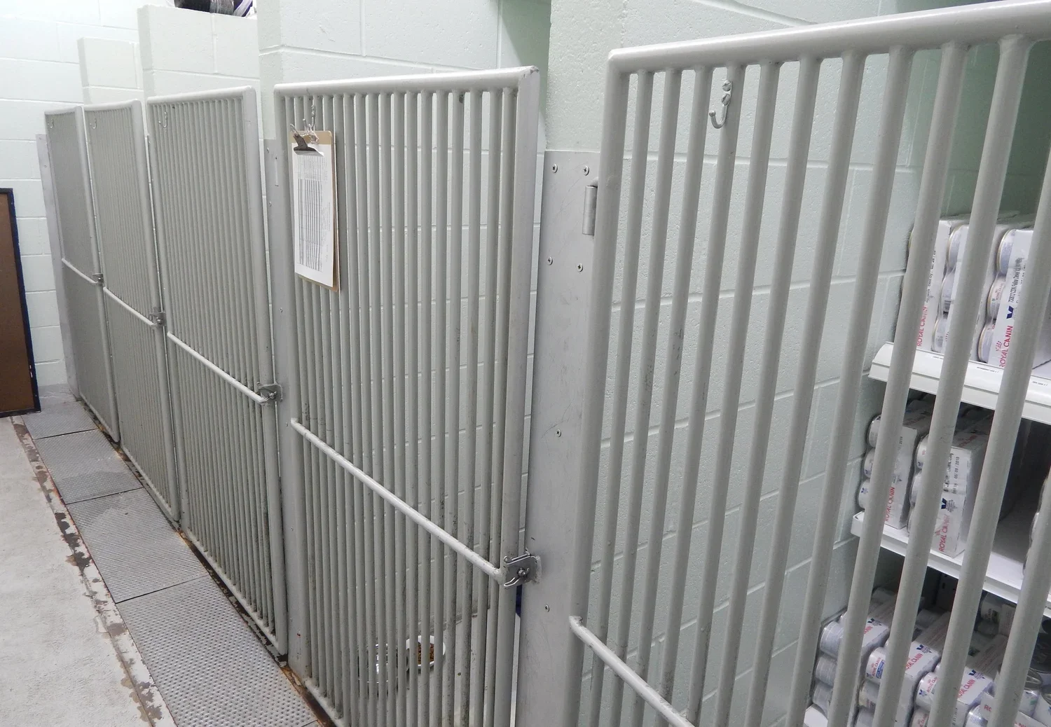 kennels.webp