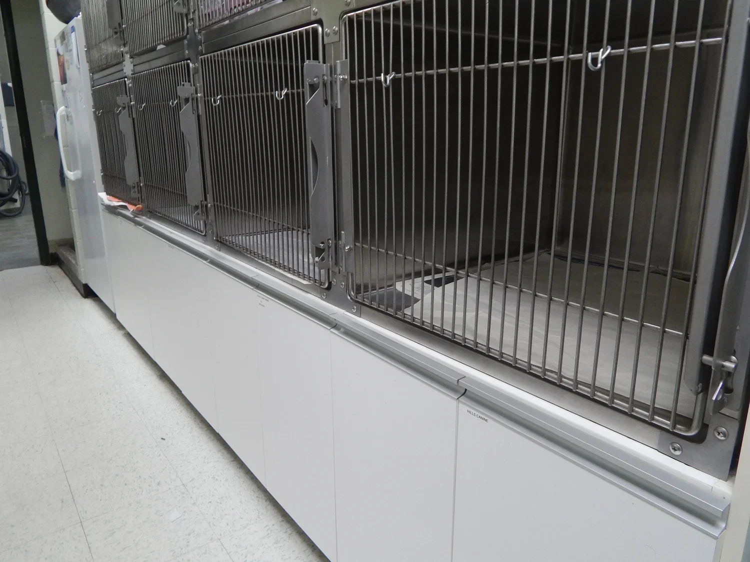 cat kennels.webp