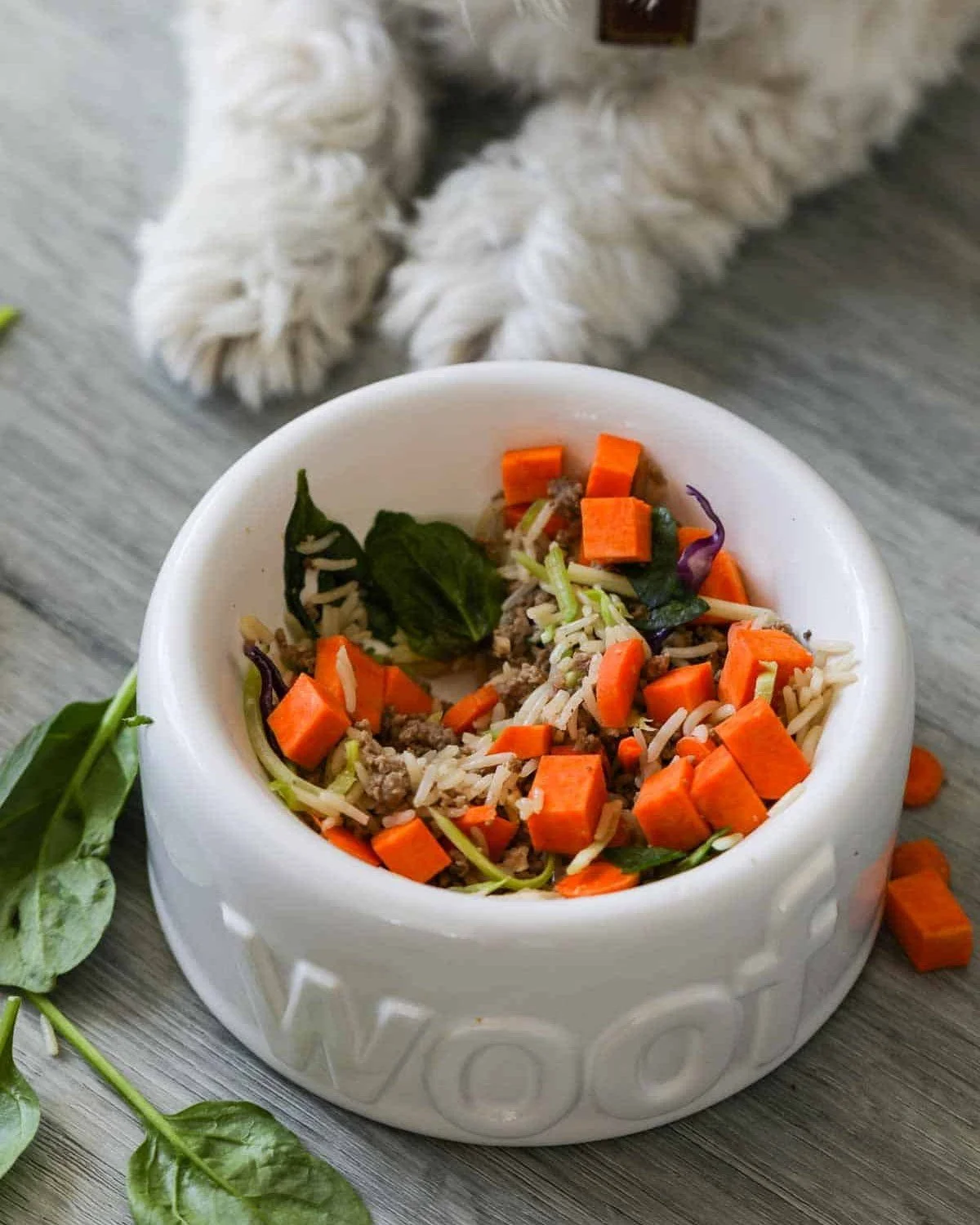 Raw diets can come with some risks, including a higher chance of bacterial contamination that can spread to both pets and people through licking or contact with surfaces. If the diet isn&rsquo;t carefully balanced, pets may also develop nutritional i