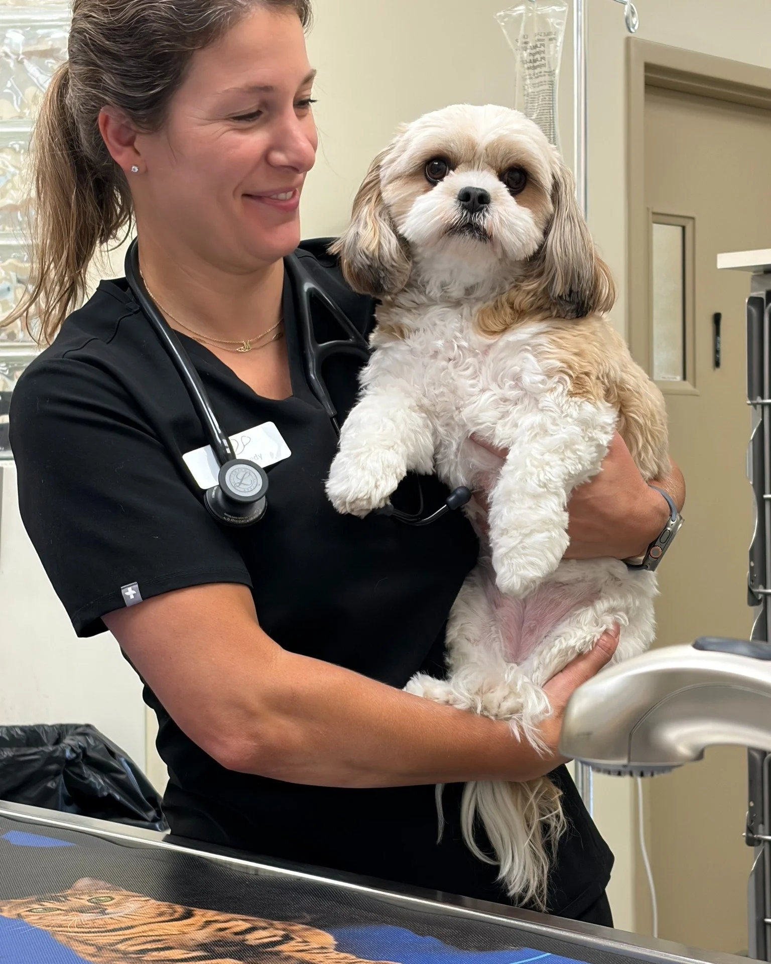 Meet Ada! She was an absolute superstar at her appointment last week with Dr. Kennedy.