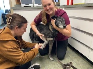 Nail‑trim teamwork for Suki! She&rsquo;s a very sweet girl who gets a bit nervous, so Amanda uses gentle, minimal restraint including supporting her head and holding her leg comfortably, while Sharisse trims her nails.