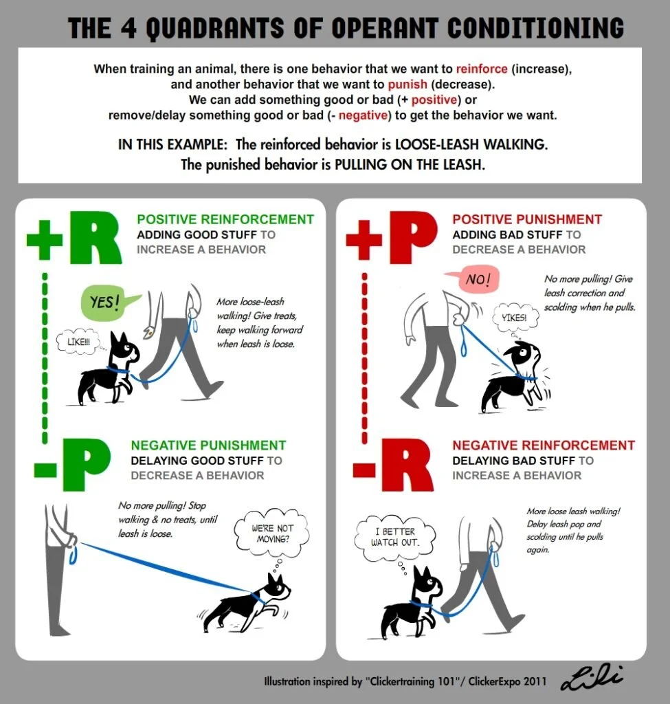 Dog trainers can be a wonderful support for you and your dog. It&rsquo;s always a good idea to call ahead and ask what kind of training methods they use. We strongly recommend positive reinforcement, which focuses on rewarding good behaviour instead 