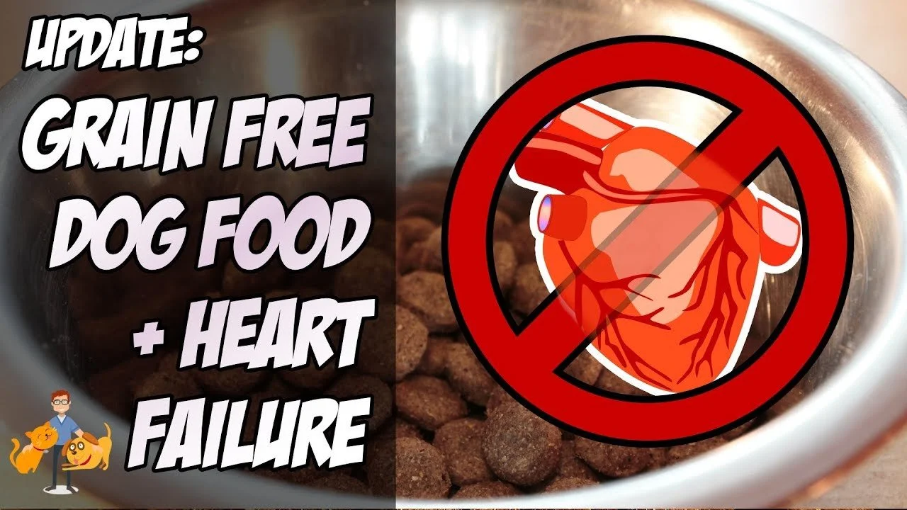Grain‑free diets, including many boutique or &ldquo;all‑natural&rdquo; brands, have been linked to heart disease in both small and large dogs. These diets often replace grains which can interfere with how the heart functions over time. This affects b