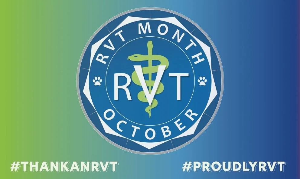 October is RVT Month, and we&rsquo;re excited to celebrate the incredible Registered Veterinary Technicians who keep Spencer Creek Animal Hospital running smoothly every single day.

What is an RVT?
A Registered Veterinary Technician is a formally tr