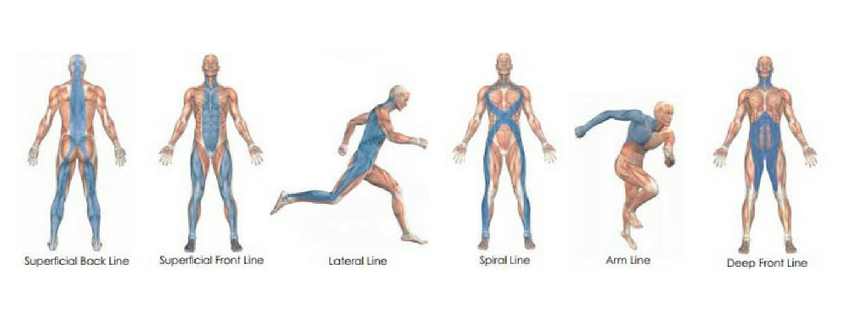 fascia-lines.png