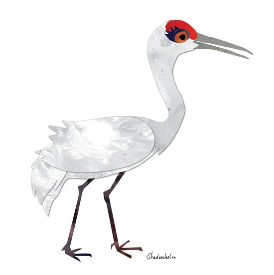 Crane