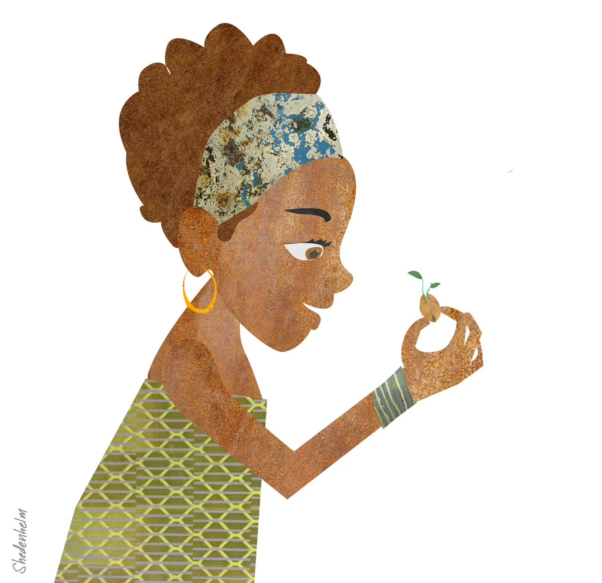 The Seed