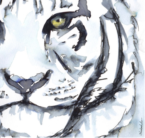 Kendra_Shedenhelm_Watercolor_Sketch_Tiger