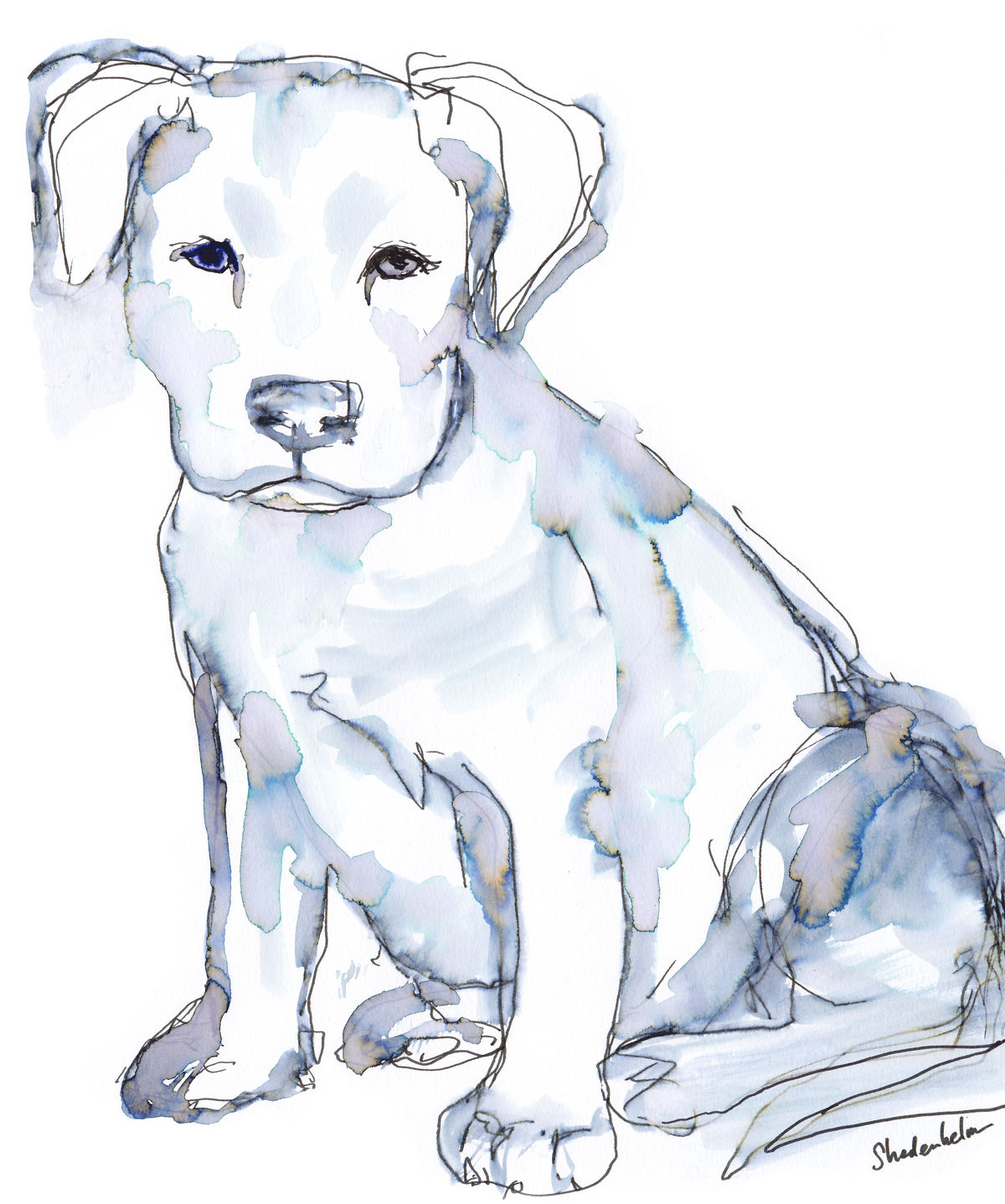 Kendra_Shedenhelm_PaintedWords_Watercolor_Dog_PitBull_Puppy_IMG_20170508_0006_SM.jpg