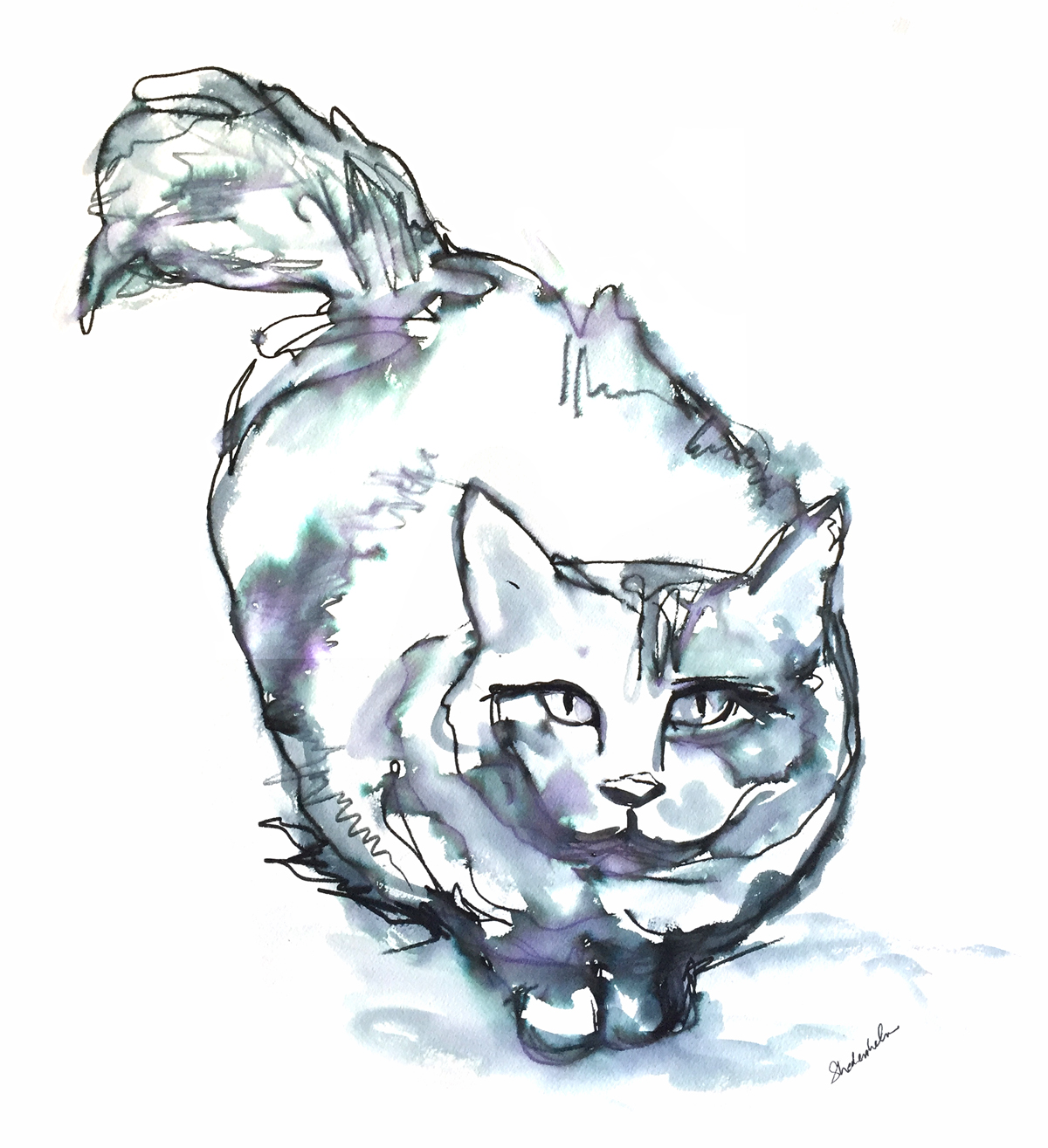 Kendra_Shedenhelm_PaintedWords_Watercolor_Cat-Milla-Tonal.jpg