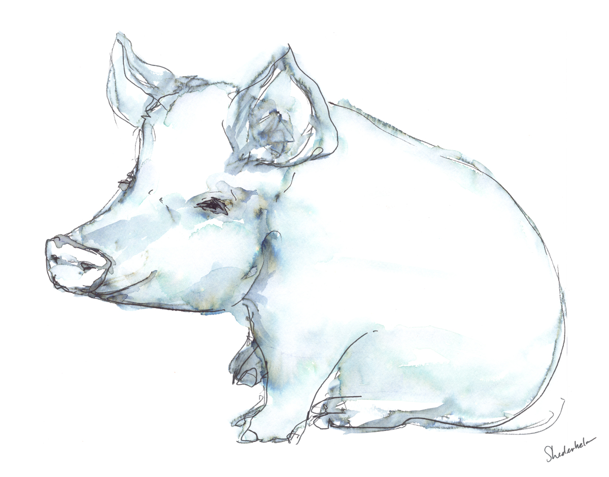 Kendra_Shedenhelm_PaintedWords_Watercolor_Pig_BigHead_Sitting_SM.jpg