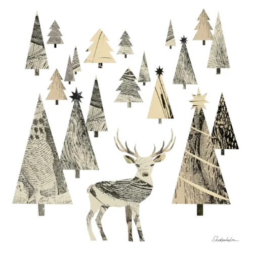 Winter Woods