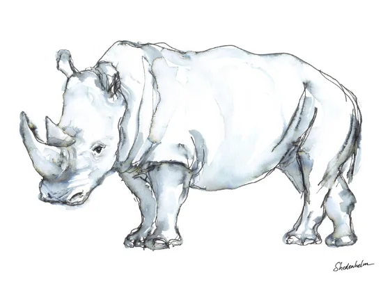 Little Rhino