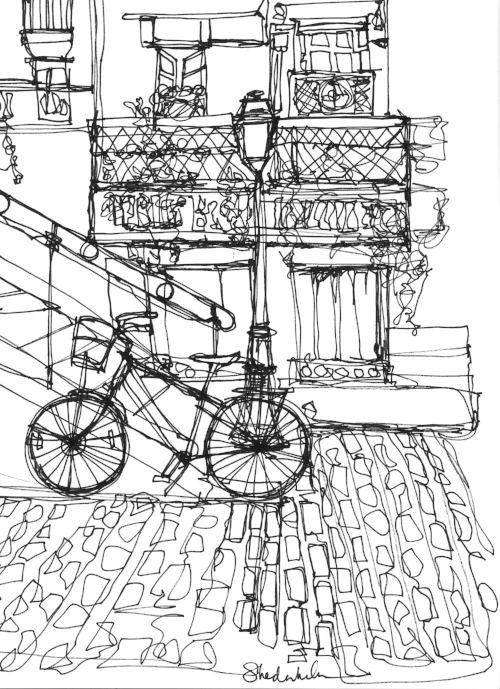 The Bicycle