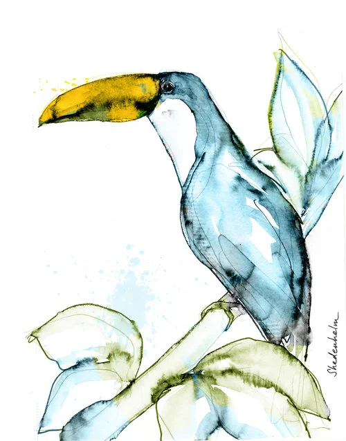 Toucan in Blue