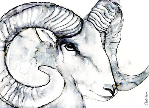 Ram