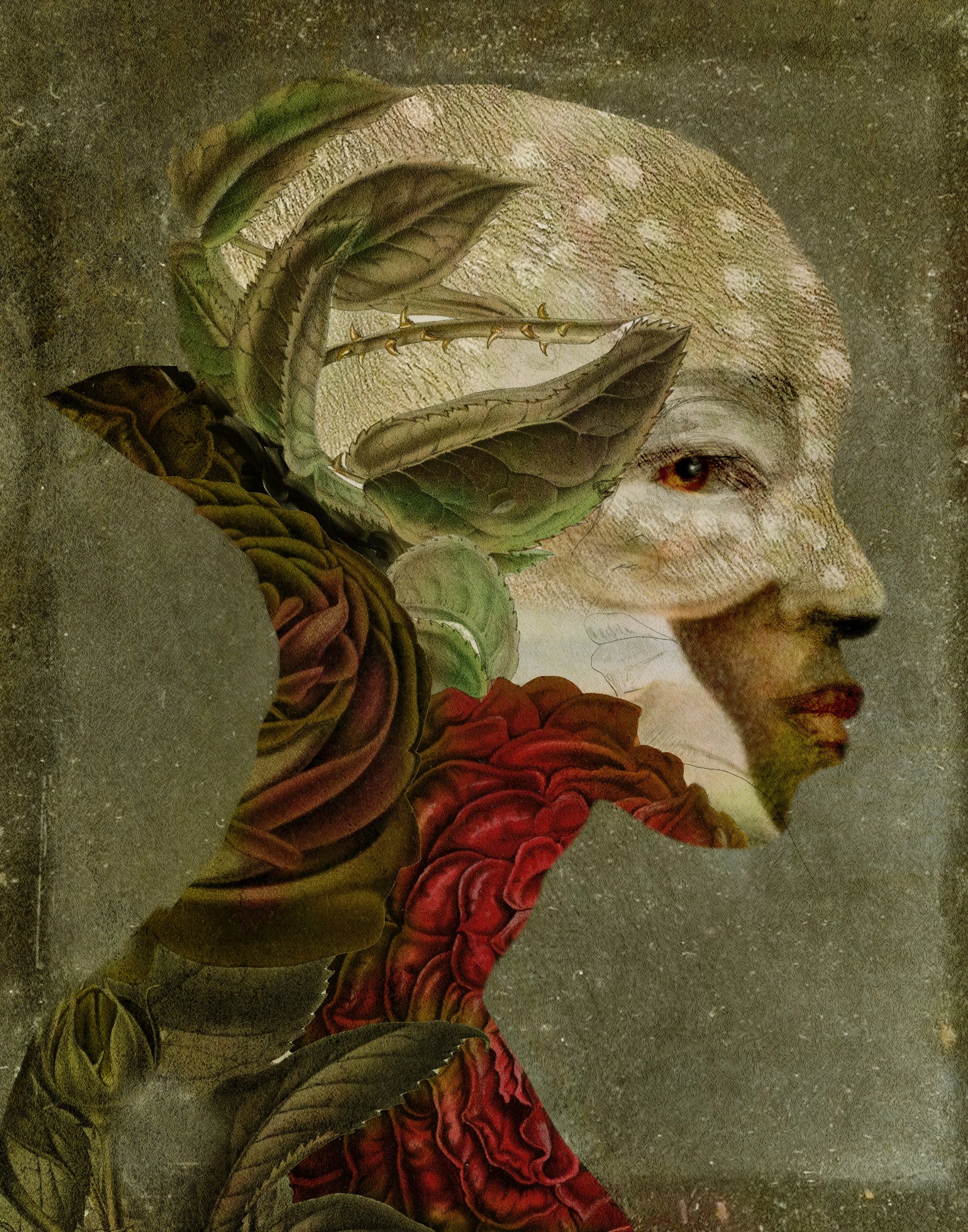 KendraShedenhelm_HareThorns_11x14_BirchPlywood.jpg