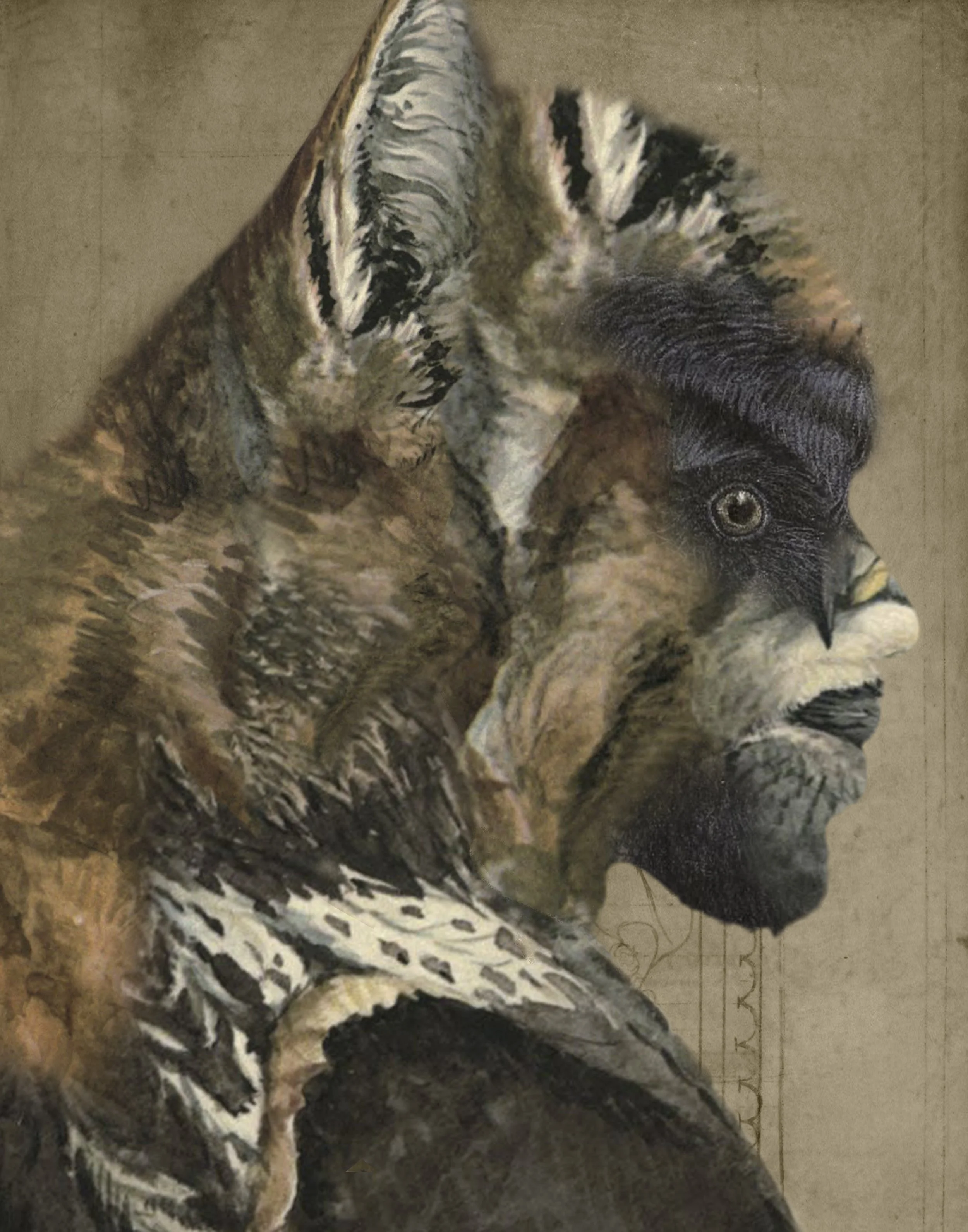 KendraShedenhelm_Wolf_11x14_BirchPlywood.jpg