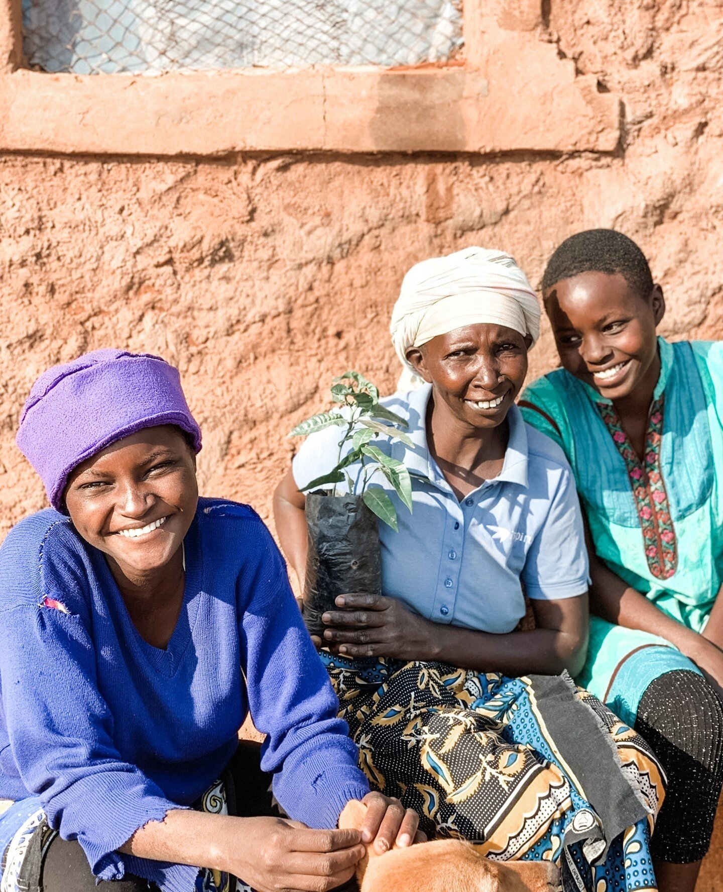 When the rains began to fall last month, we jumped into action, distributing hundreds of seedlings to the women in our community. 🌧️ 🌱⁠
⁠
Not only does this help with reforestation, but the fruit trees will also provide nourishment and an income so