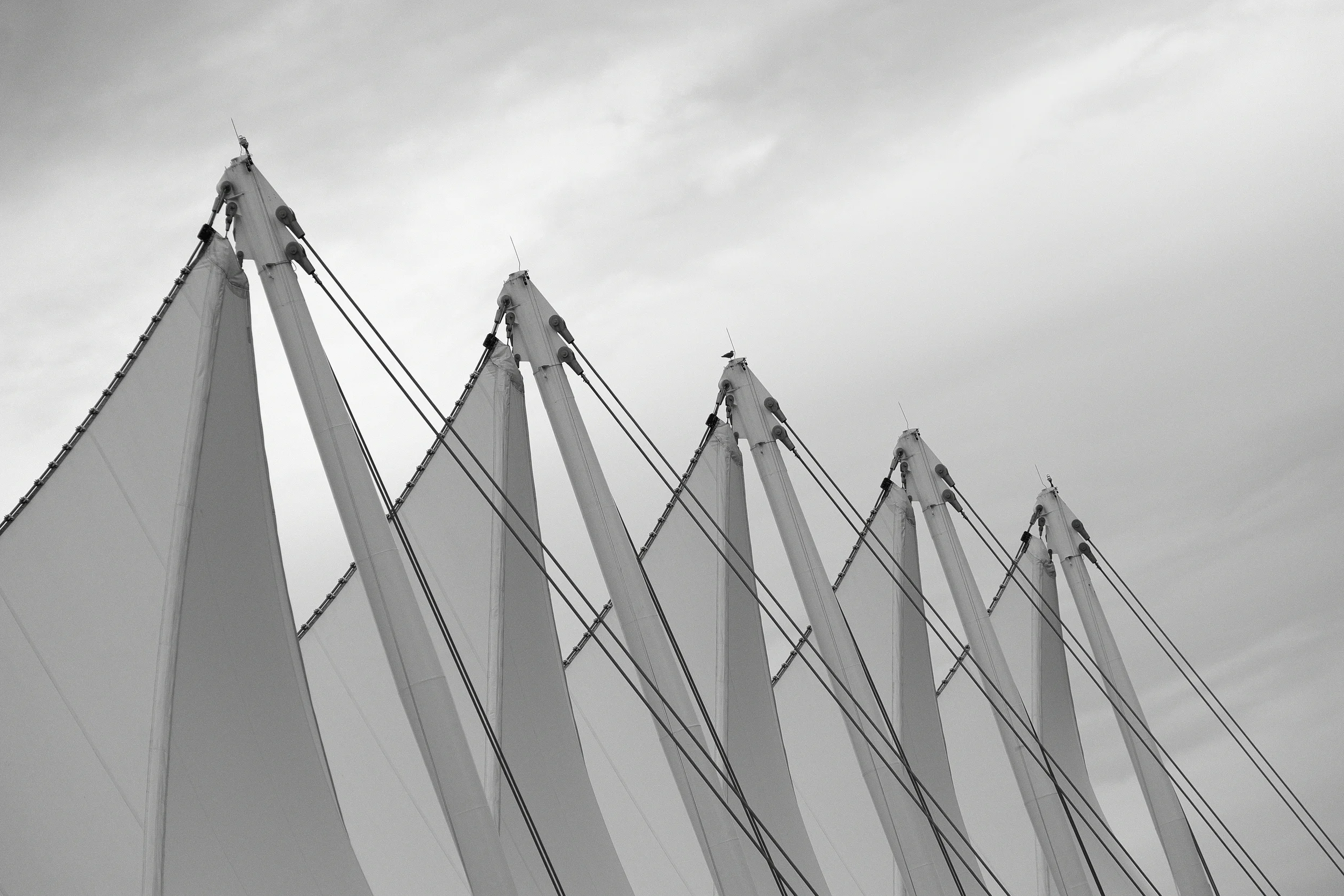 Sails —Fujifilm X-E1 with Fujinon 55-200mm; f/5.0 at 1/1400 sec. ISO800.