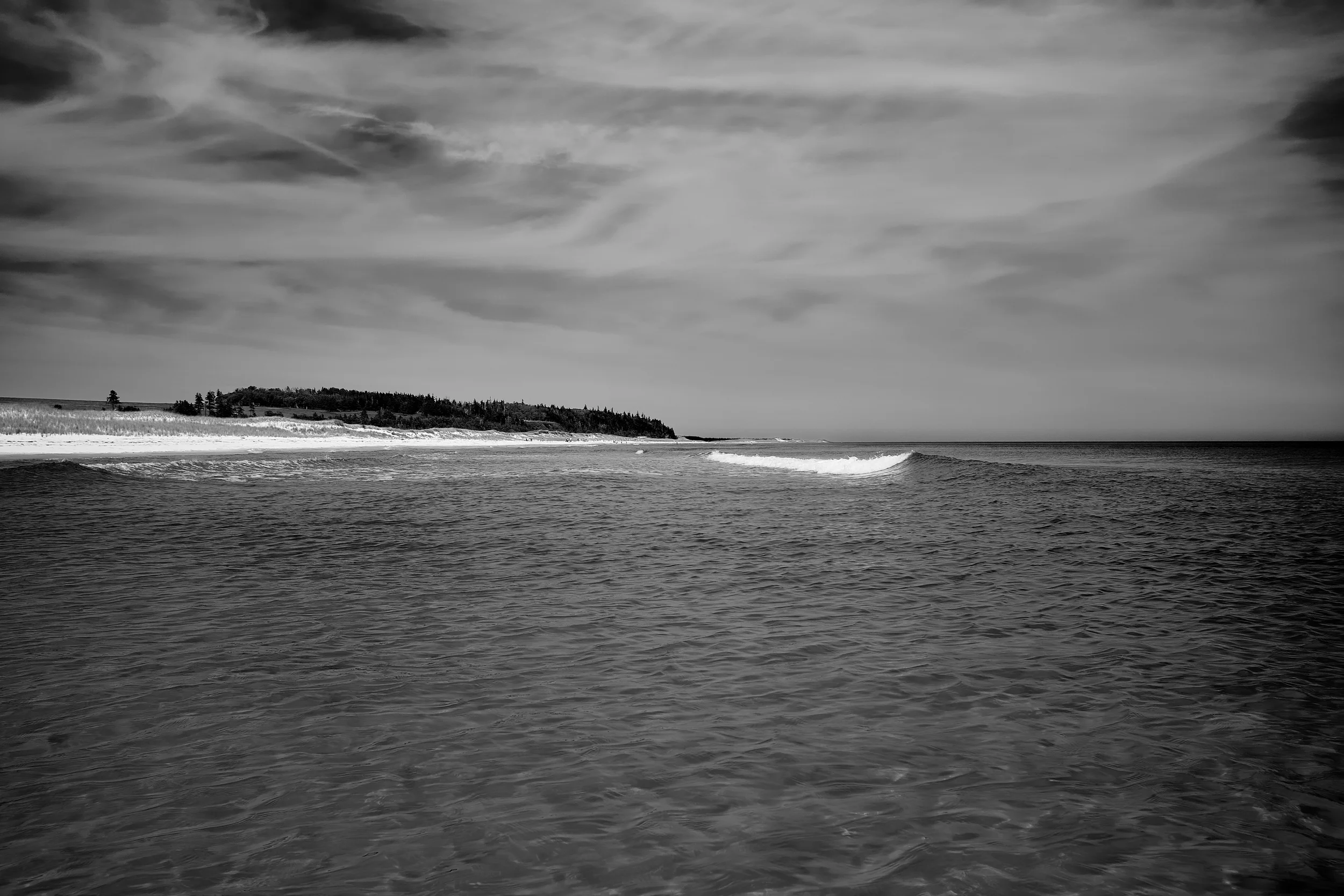 DSCF0308.jpg