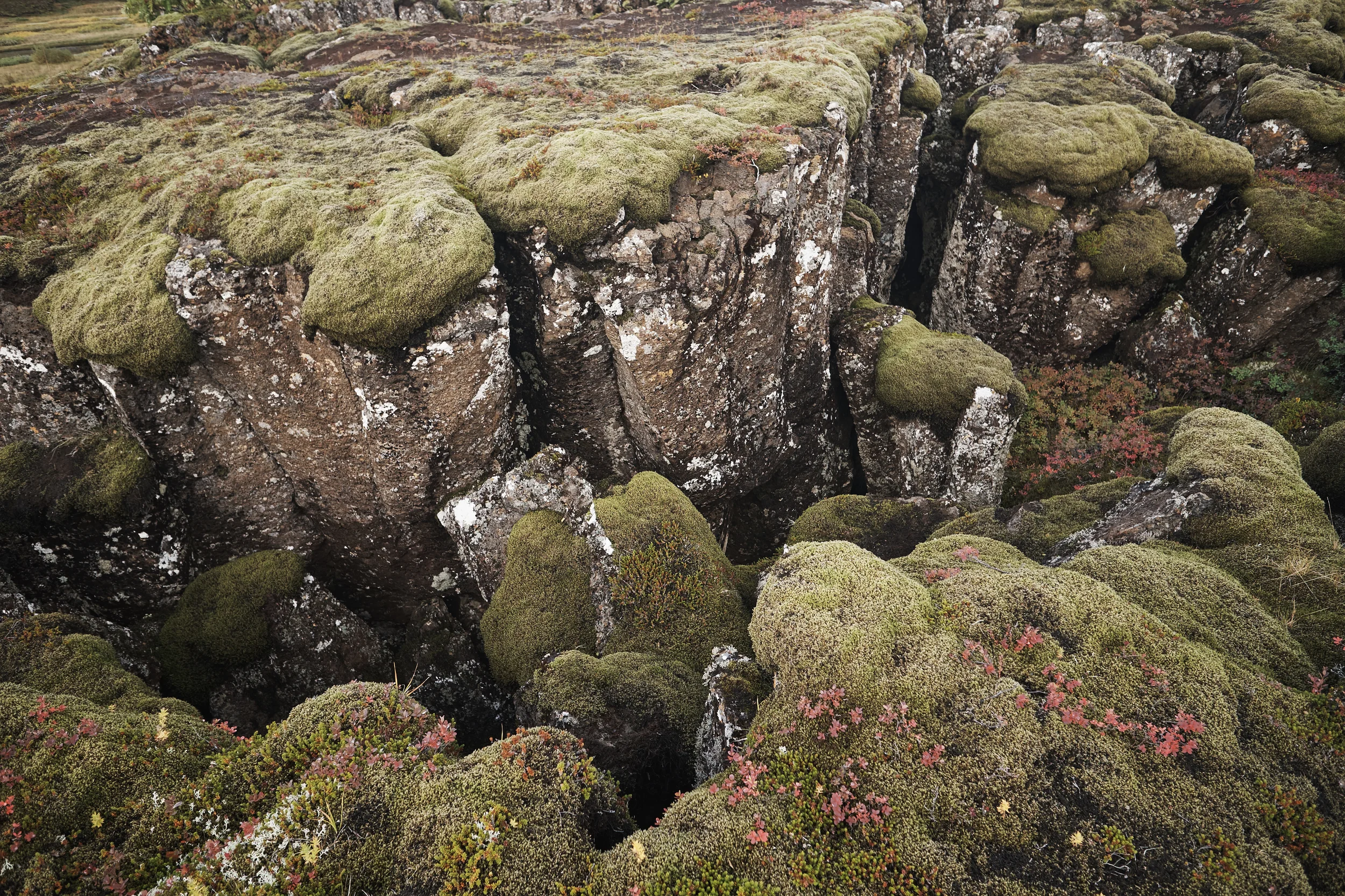 Þingvellir 4