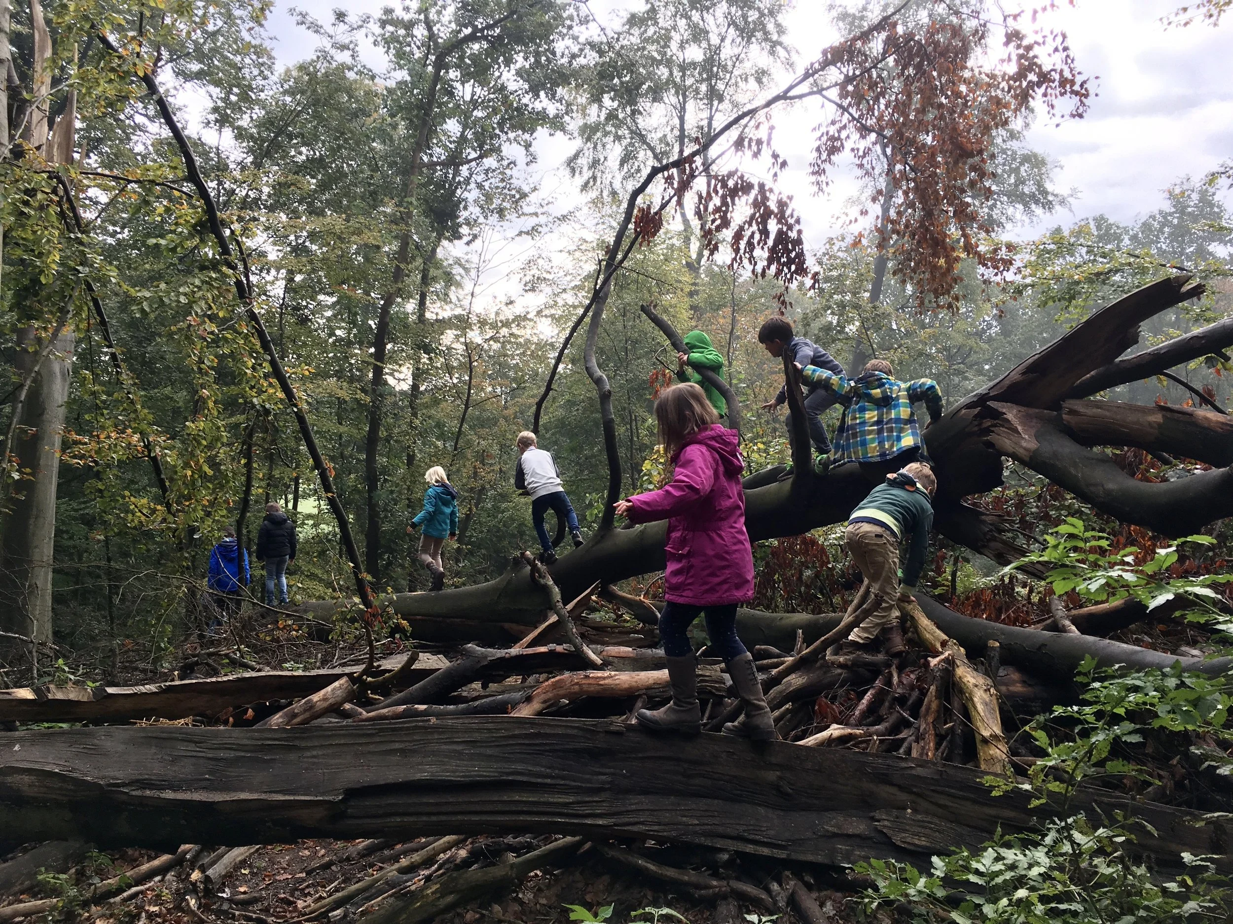 Kids Outdoor Training x4